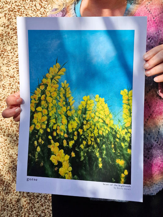 "Gorse" Heart of the Highland Series, Fine Art Print