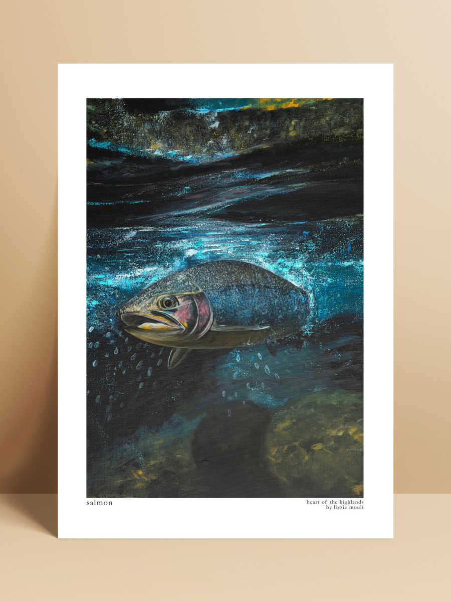 "Salmon" Heart of the Highland Series, Fine Art Print