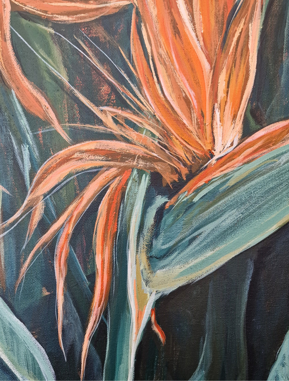 Birds of Paradise Duo