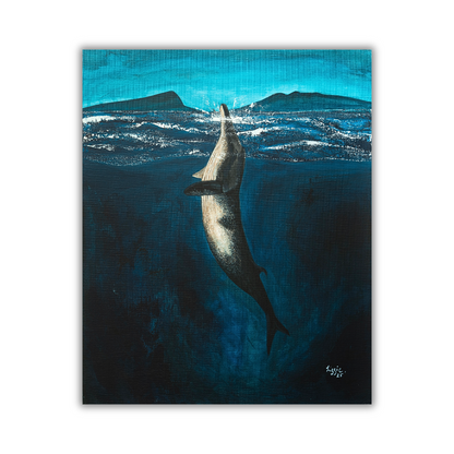 Minke Whale - Original - Heart of the Highland Series
