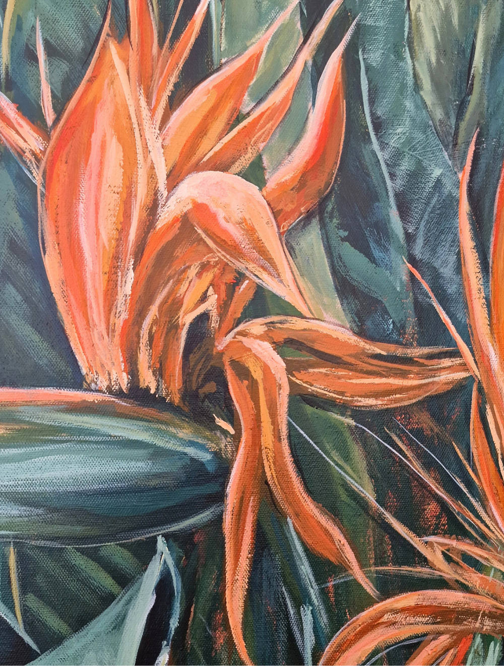 Birds of Paradise Duo