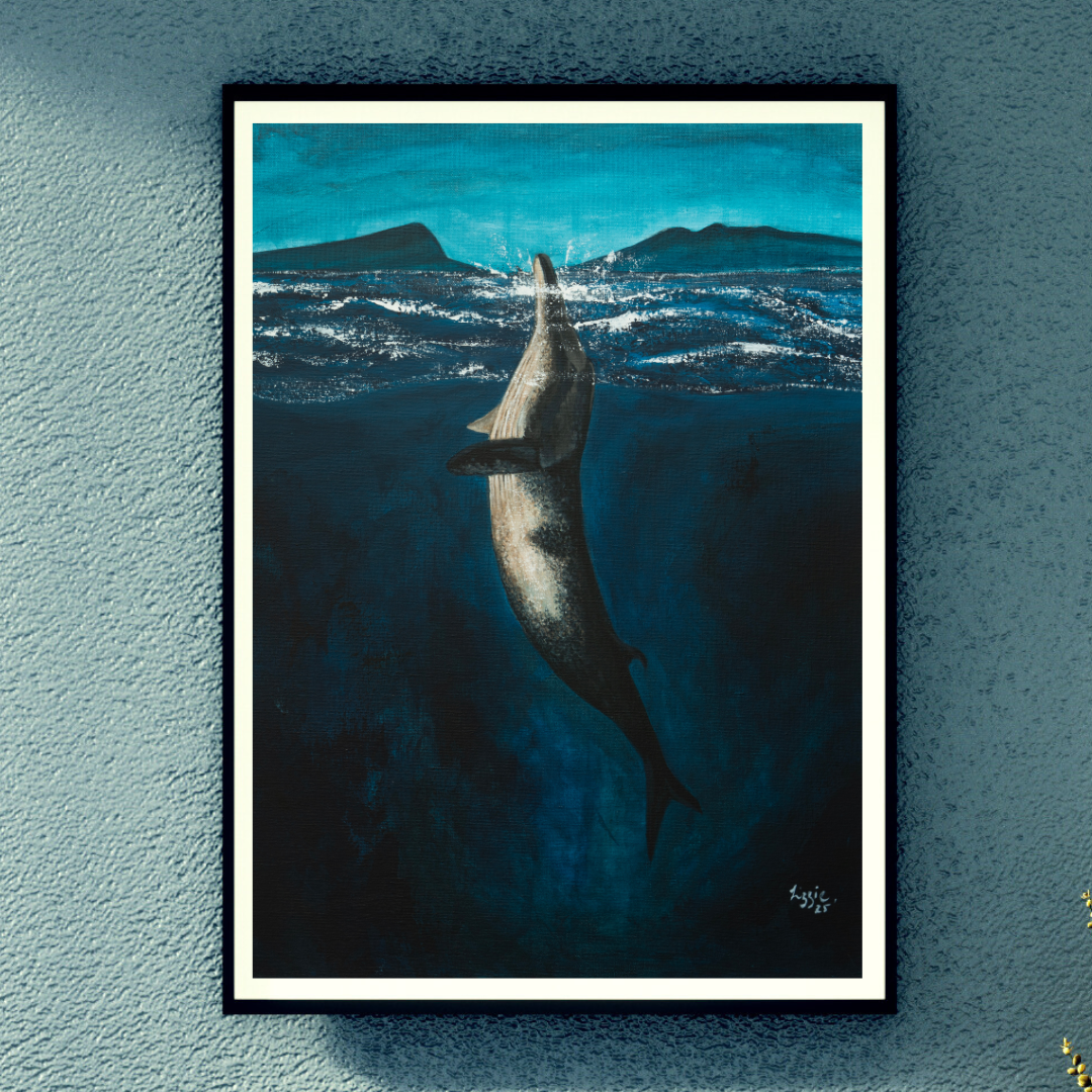 Minke Whale - Fine Art Print