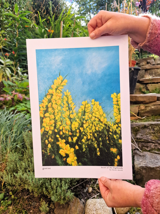 "Gorse" Heart of the Highland Series, Fine Art Print