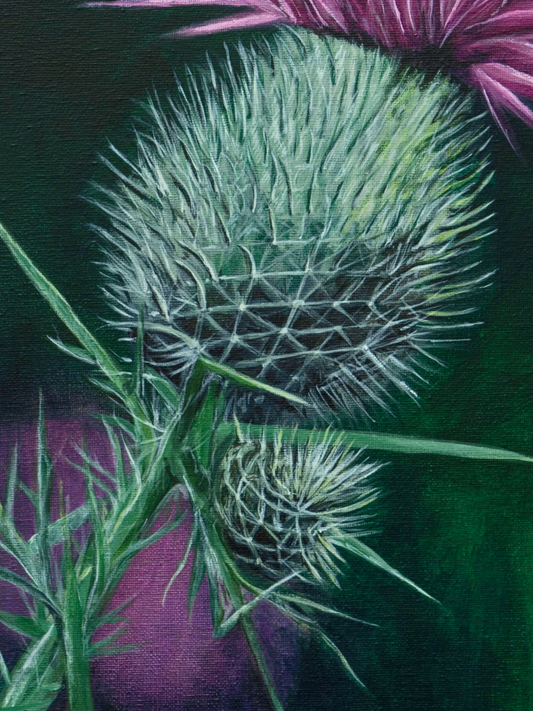 "Scottish Thistle" Heart of the Highland Series, Fine Art Print