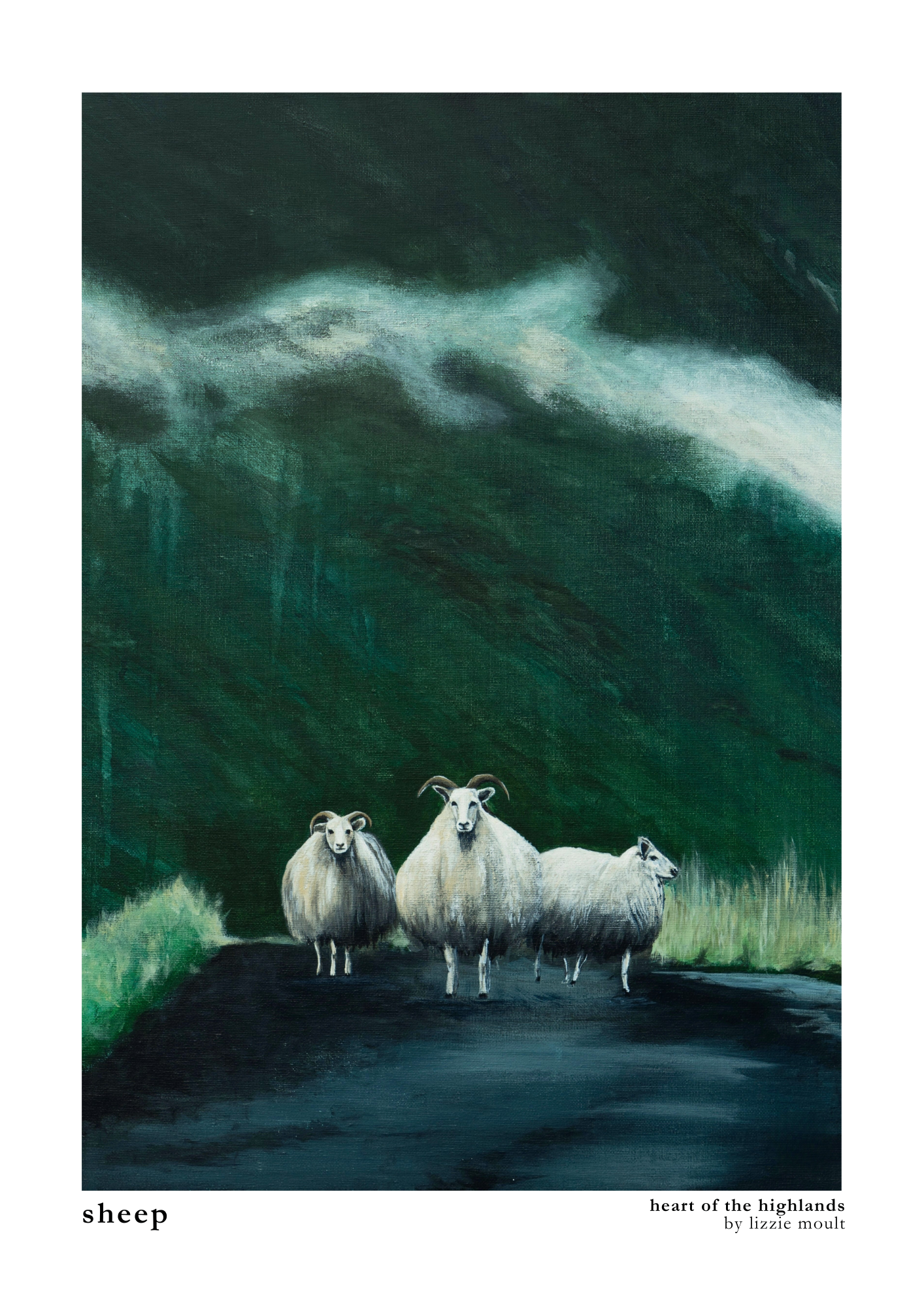 "Sheep" Heart of the Highland Series, Fine Art Print