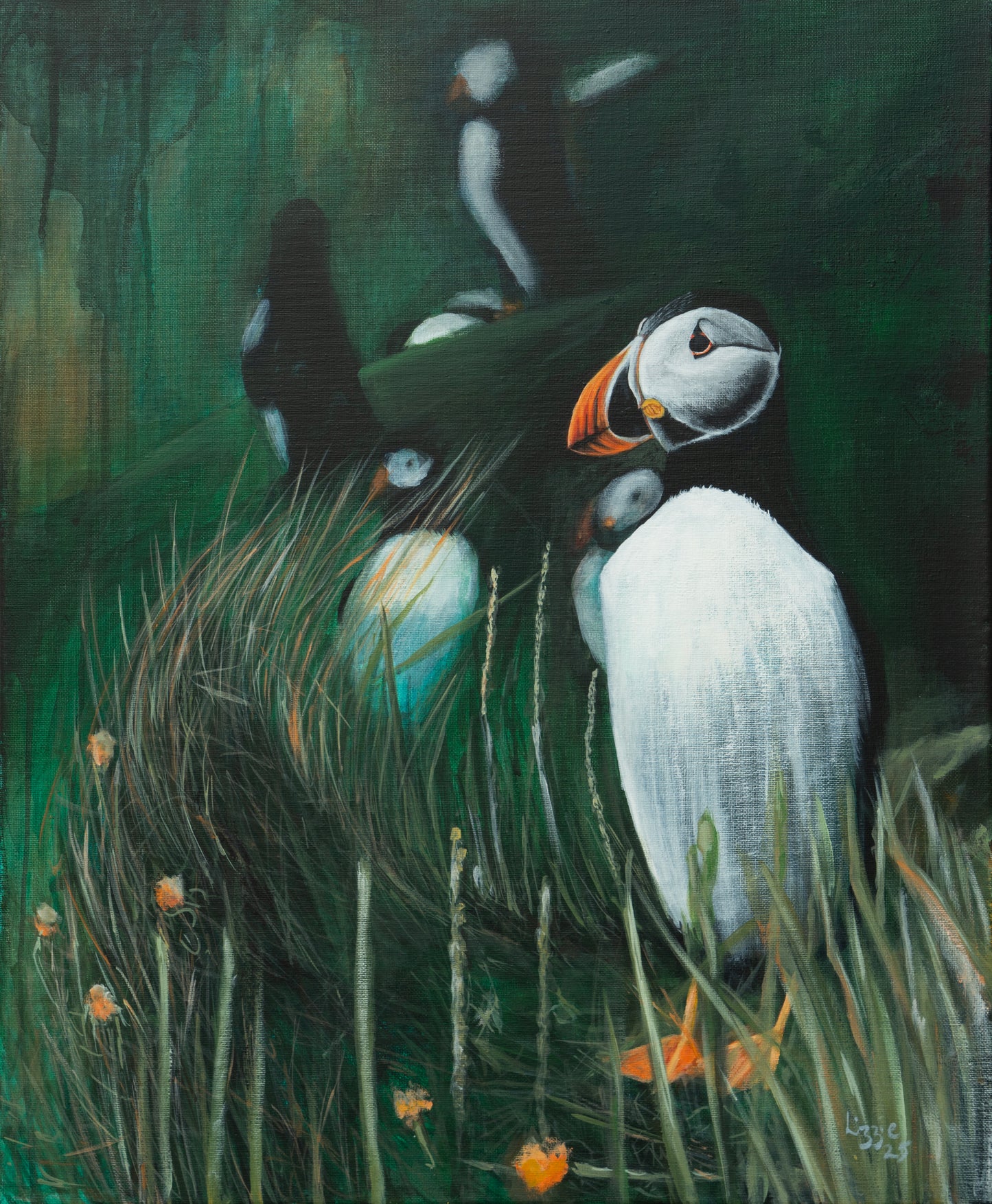 Puffin - Fine Art Print