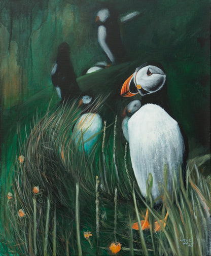 Puffin - Fine Art Print