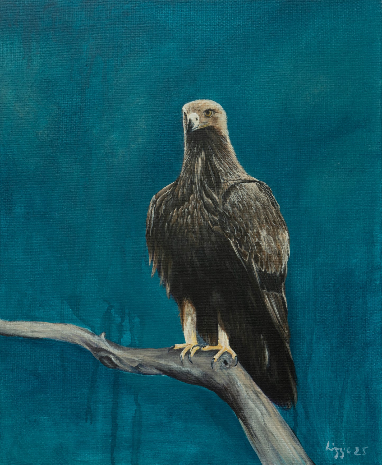 Golden Eagle - Fine Art Print