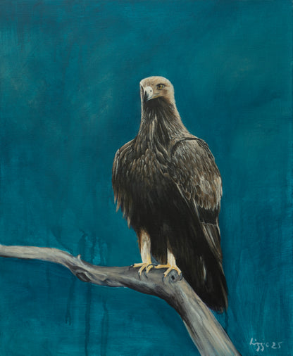 Golden Eagle - Fine Art Print