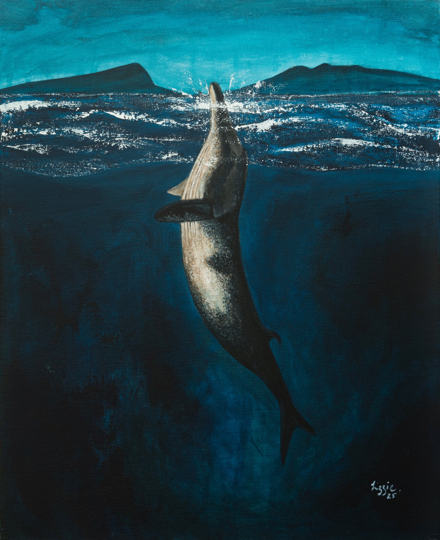 Minke Whale - Original - Heart of the Highland Series
