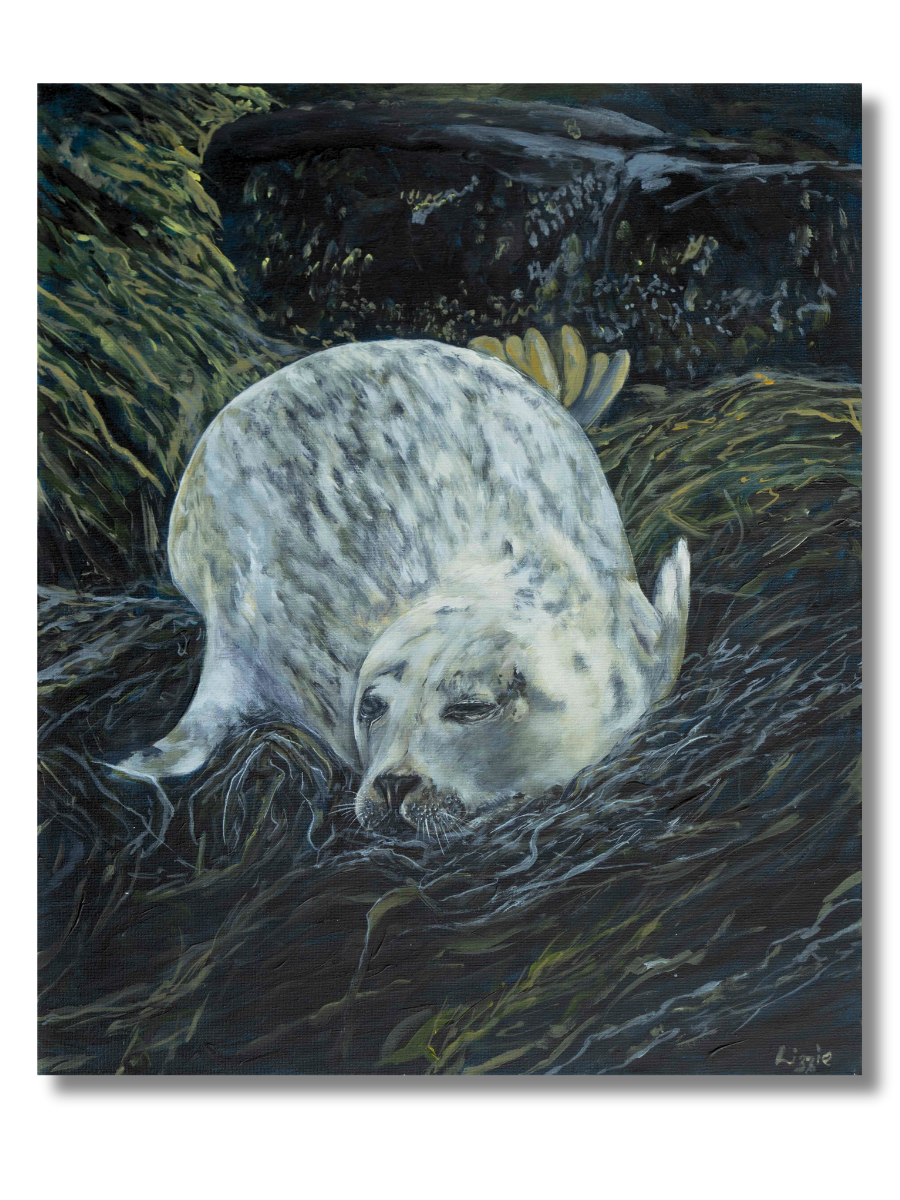 Seal/Selkie - Original - Heart of the Highland Series