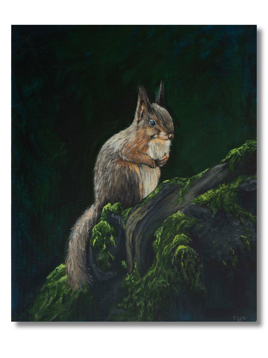 Red Squirrel - Original - Heart of the Highland Series