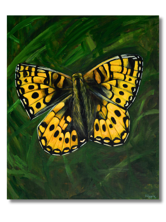 Common Butterfly - Original - Heart of the Highland Series