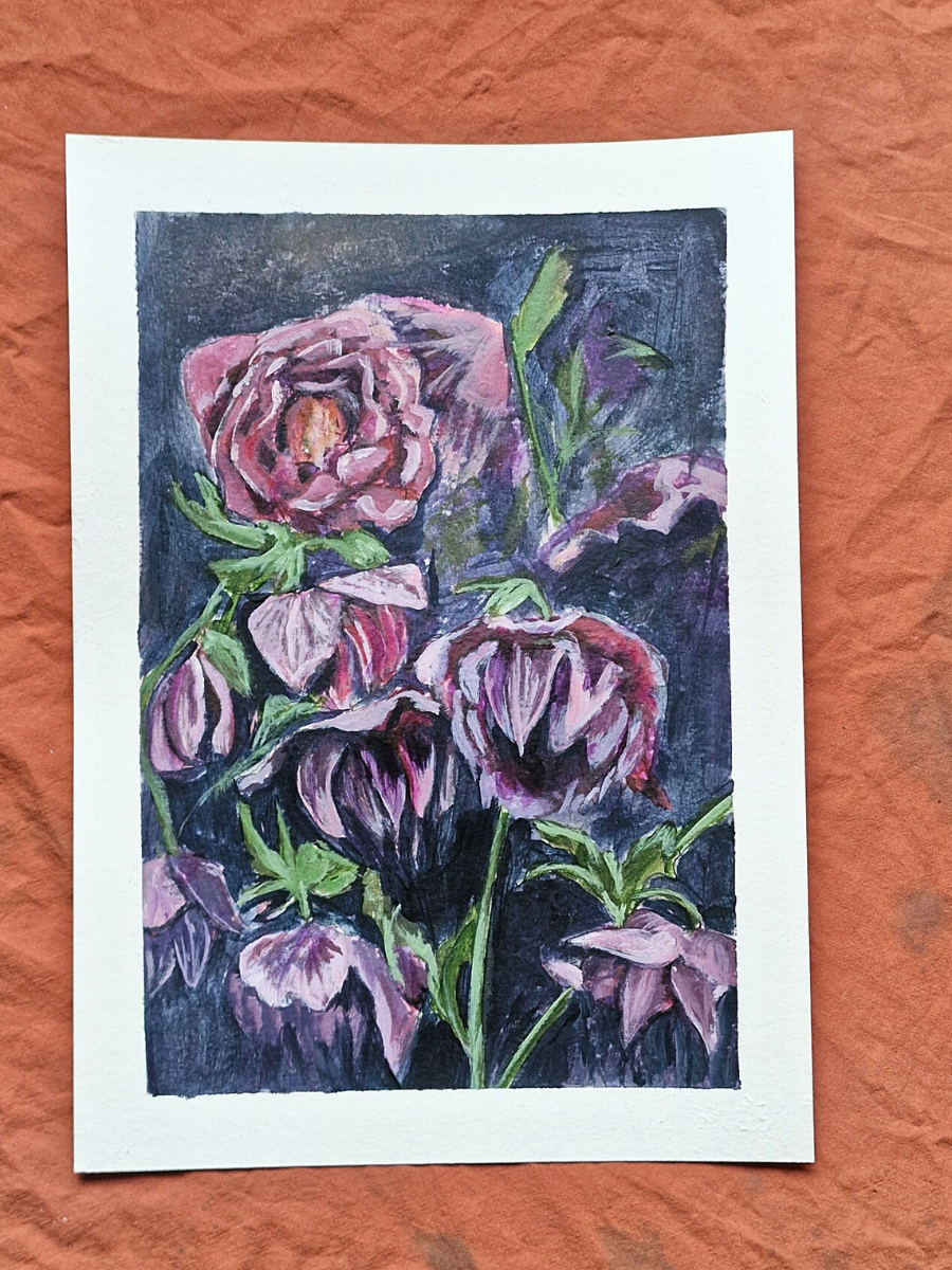 Purple Hellebores