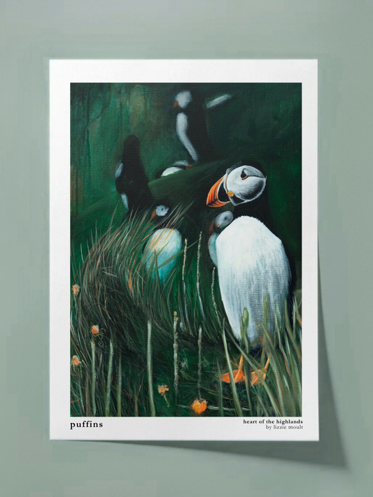 "Puffin" Heart of the Highland Series, Fine Art Print
