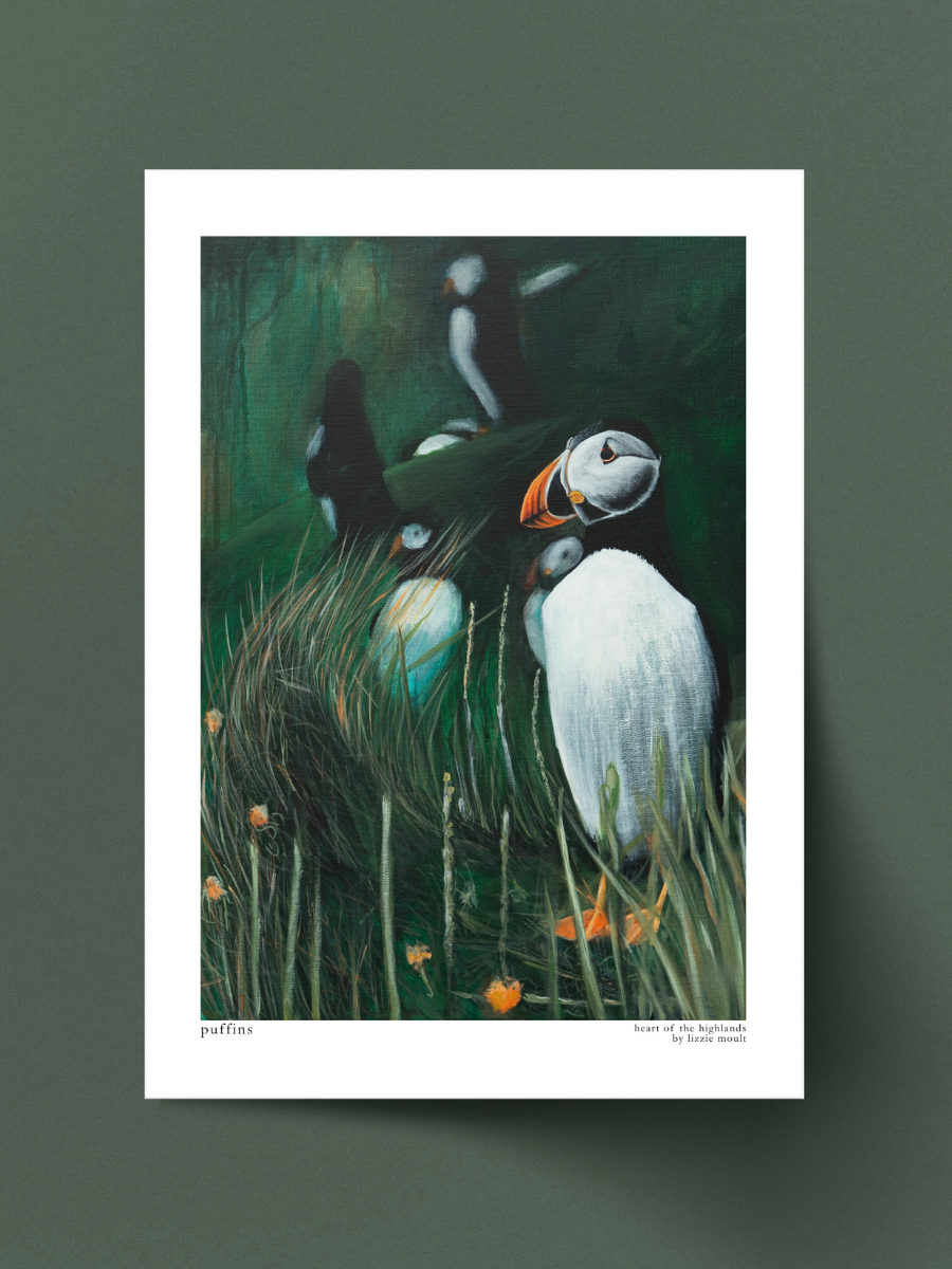 "Puffin" Heart of the Highland Series, Fine Art Print