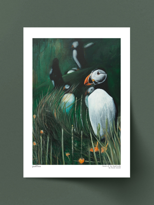 "Puffin" Heart of the Highland Series, Fine Art Print