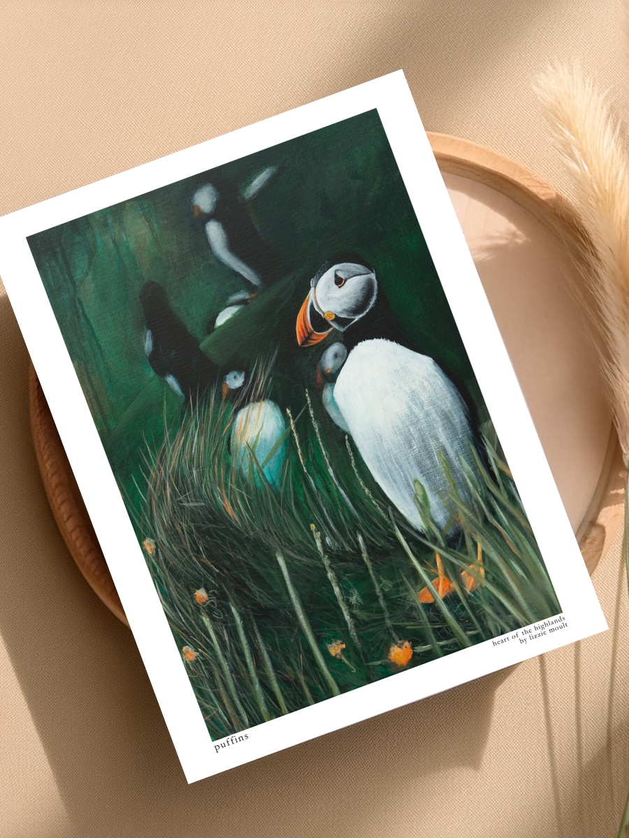 "Puffin" Heart of the Highland Series, Fine Art Print