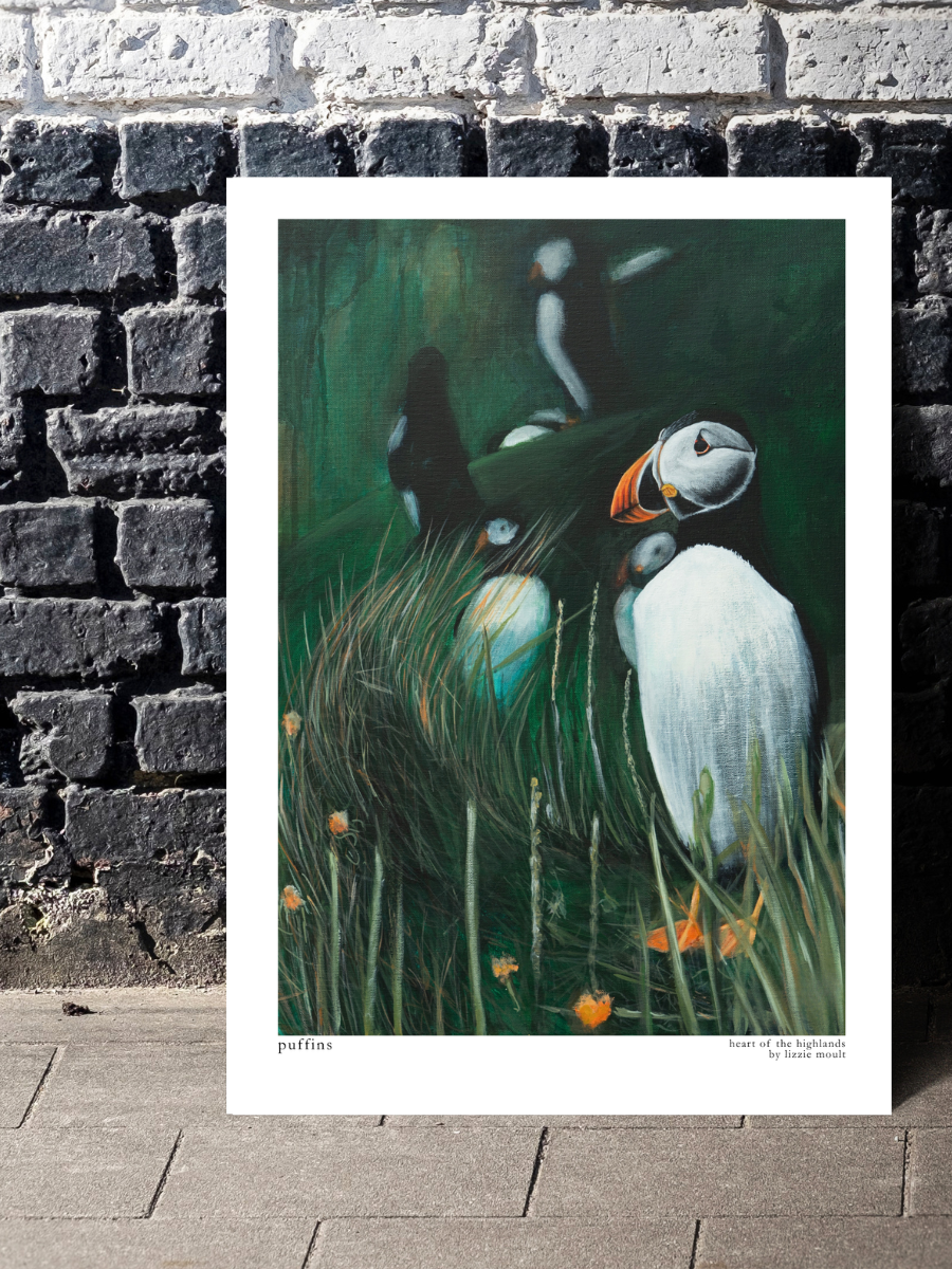 "Puffin" Heart of the Highland Series, Fine Art Print