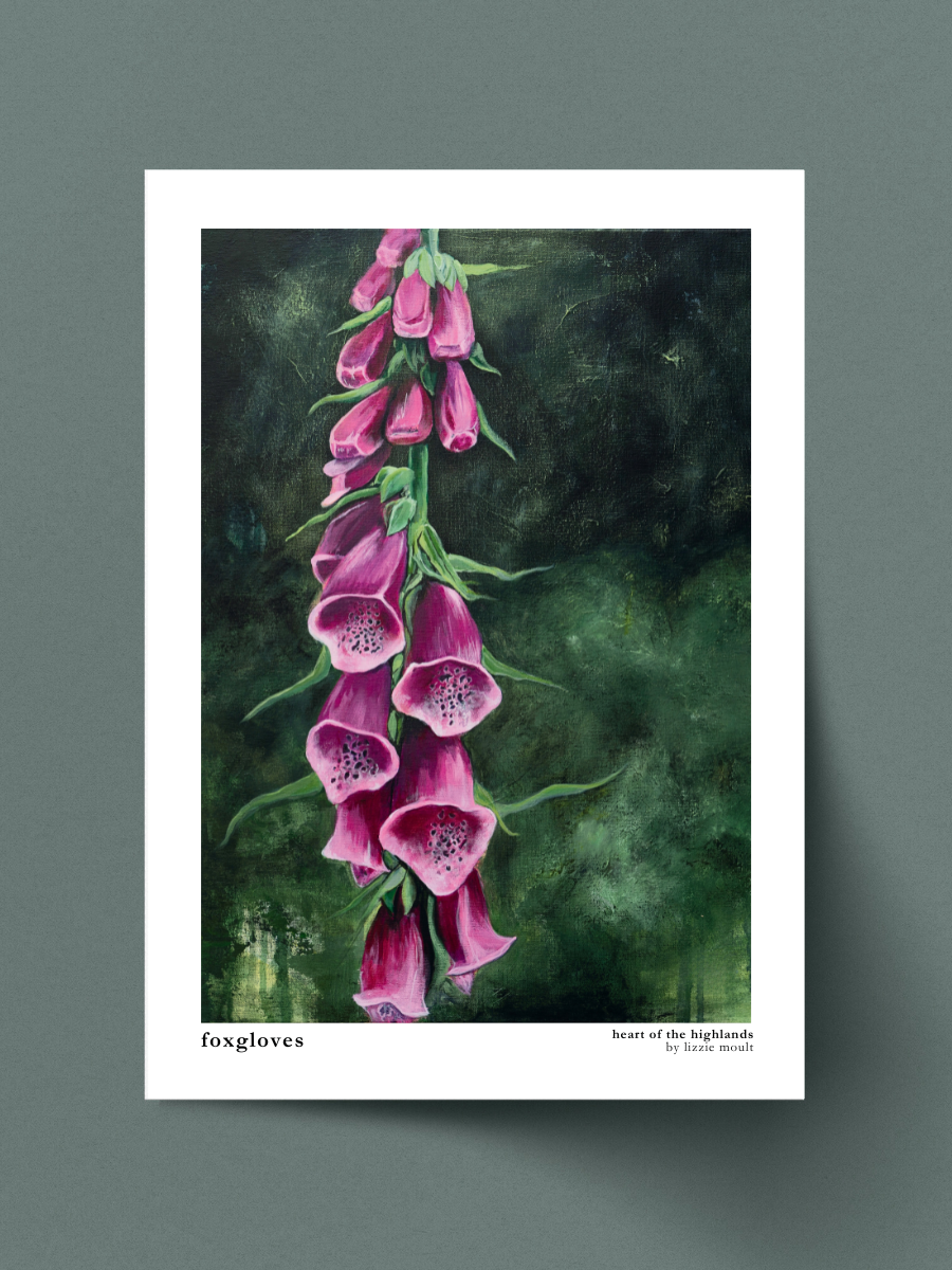 "Foxgloves" Heart of the Highland Series, Fine Art Print