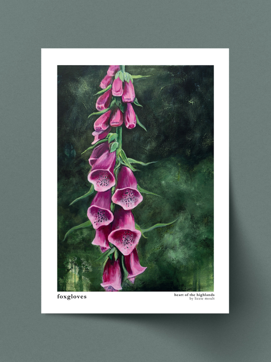 "Foxgloves" Heart of the Highland Series, Fine Art Print