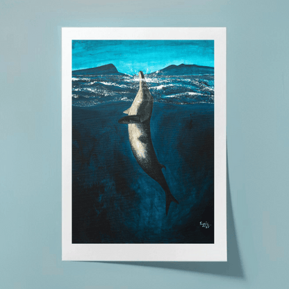 Minke Whale - Fine Art Print