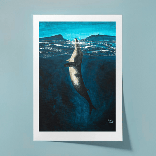 Minke Whale - Fine Art Print