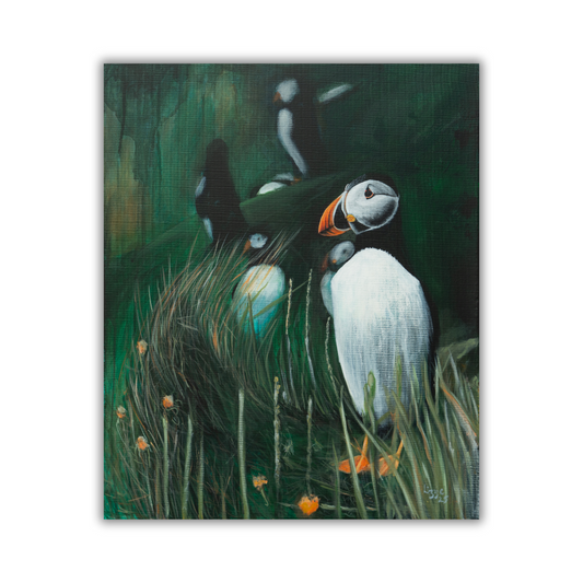 Puffin - Original - Heart of the Highland Series