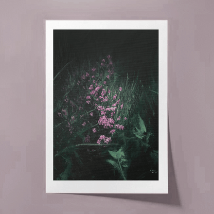 Heather - Fine Art Print