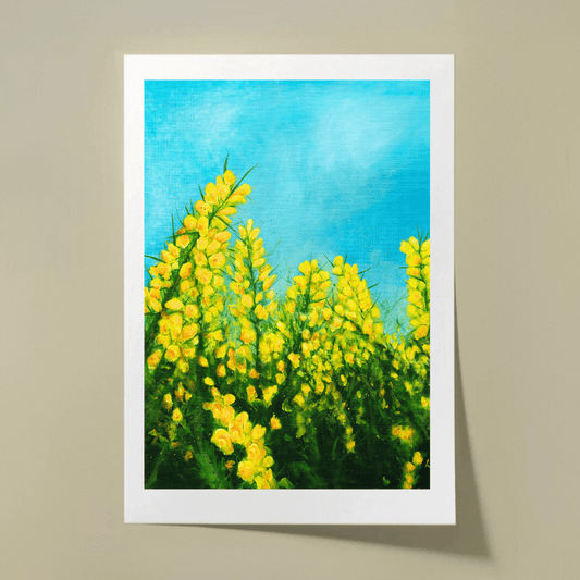Gorse - Fine Art Print