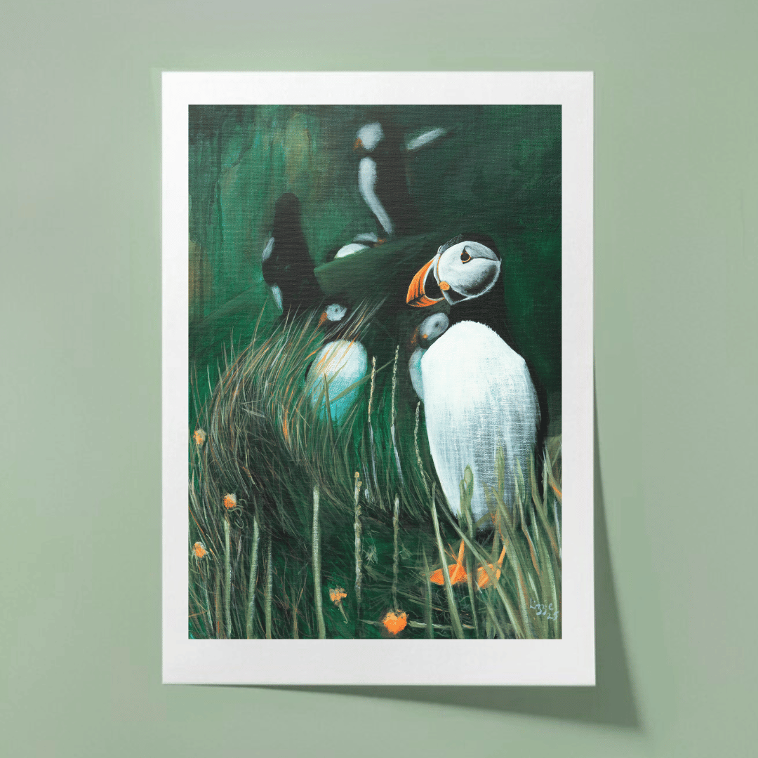 Puffin - Fine Art Print