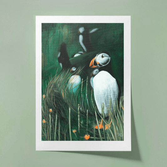 Puffin - Fine Art Print
