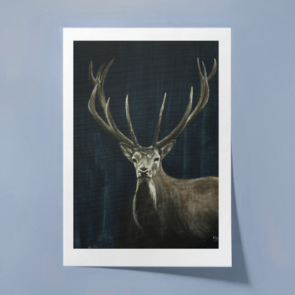 Red Deer - Fine Art Print