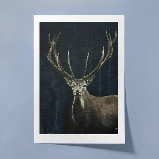 Red Deer - Fine Art Print