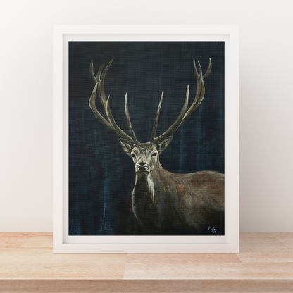 Red Deer - Fine Art Print