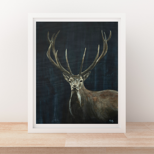 Red Deer - Fine Art Print